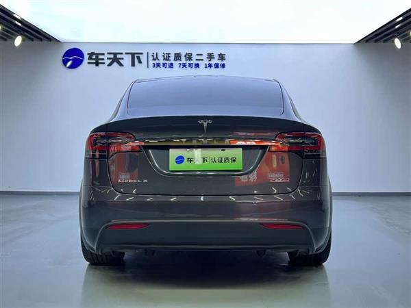 Model X 2016款 Model X P100D Performance高性能版