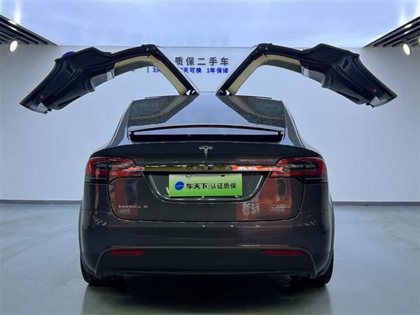 Model X 2016款 Model X P100D Performance高性能版