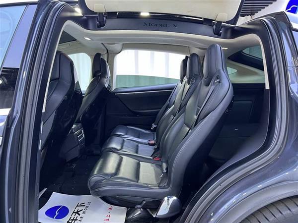 Model X 2016款 Model X P100D Performance高性能版