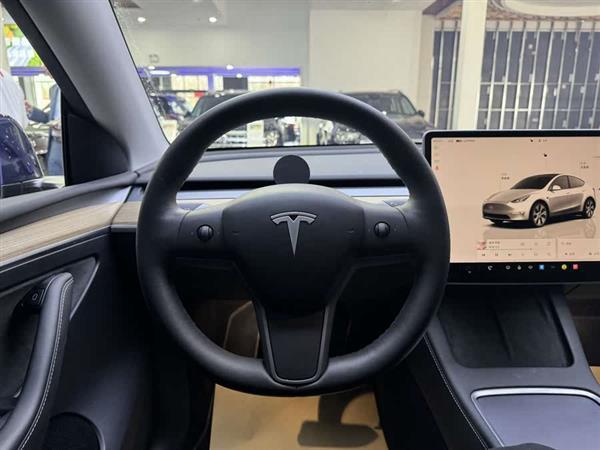 Model Y 2022款 长续航全轮驱动版