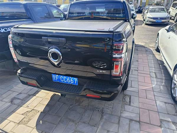 炮 2023款 2.0T乘用版自动汽油四驱尊享型GW4C20B