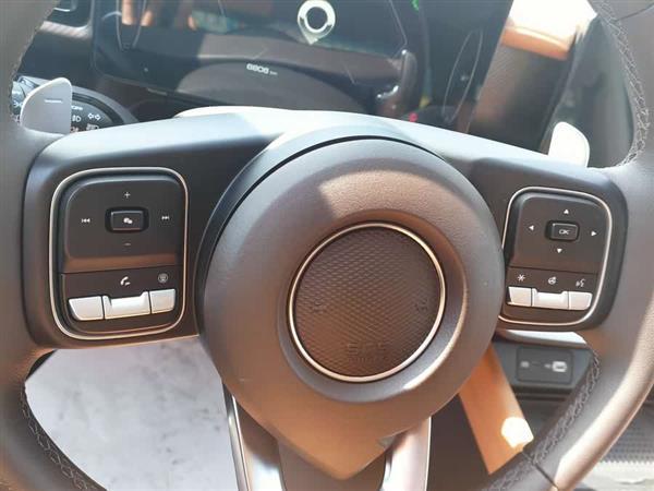 炮 2023款 2.0T乘用版自动汽油四驱尊享型GW4C20B