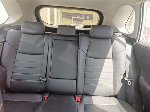 RAV4荣放 2021款 2.0L CVT两驱风尚PLUS版