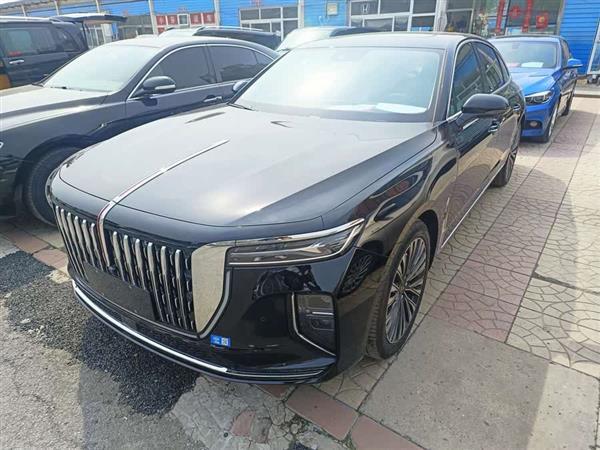 红旗H9 2024款 2.0T 旗享 豪华商务版
