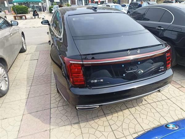 红旗H9 2024款 2.0T 旗享 豪华商务版