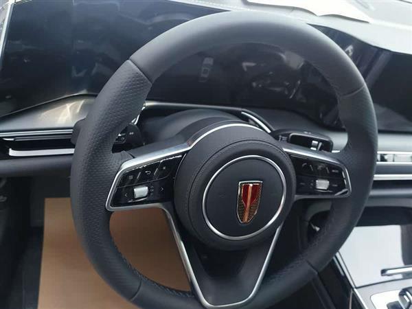 红旗H9 2024款 2.0T 旗享 豪华商务版