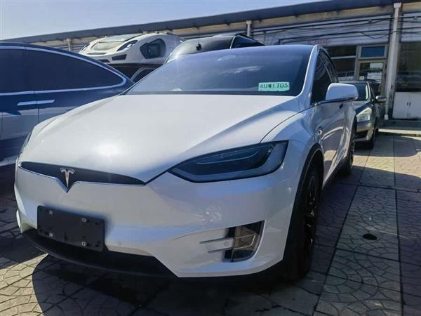 Model X 2016款 Model X 75D
