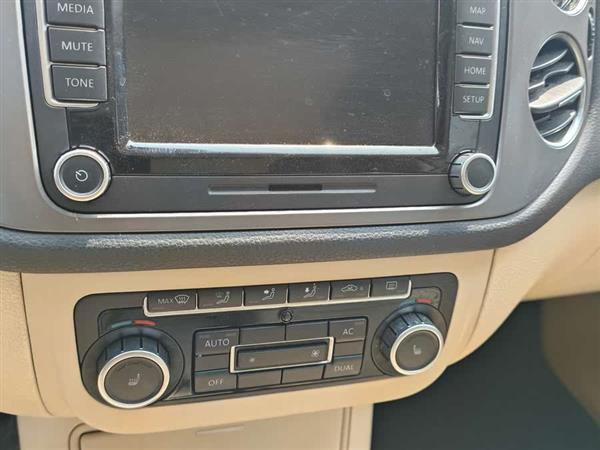 Tiguan 2009款 2.0TSI 豪华版