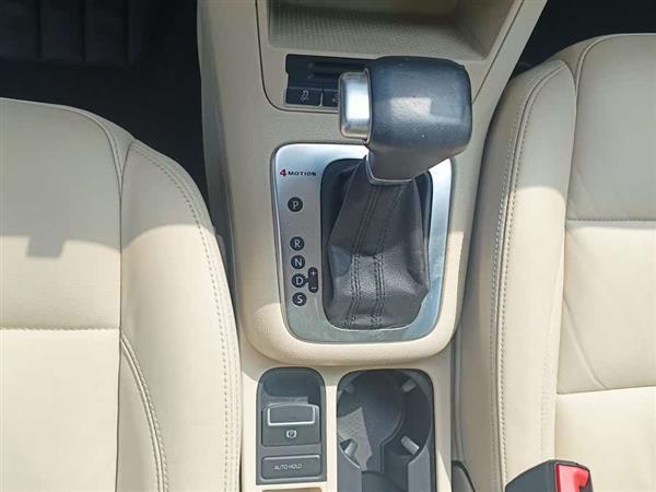 Tiguan 2009款 2.0TSI 豪华版