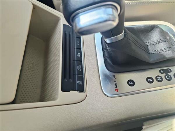 Tiguan 2009款 2.0TSI 豪华版