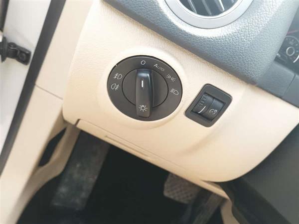 Tiguan 2009款 2.0TSI 豪华版
