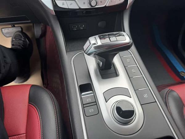 炮 2020款 2.0T越野版自动柴油四驱限量版GW4D20M