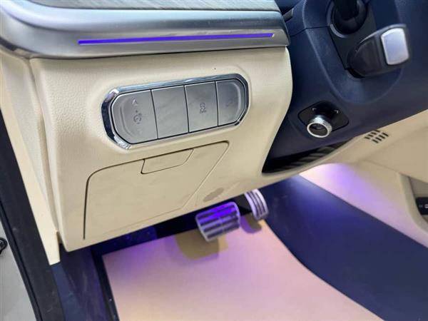 坦克500 2022款 3.0T 商务版 造境型 5座