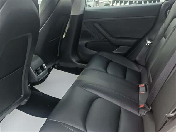 Model 3 2020款 标准续航后驱升级版