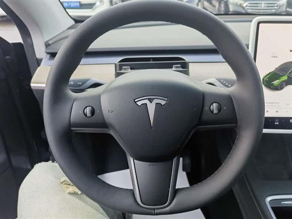Model Y 2021款 长续航全轮驱动版