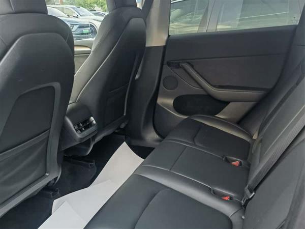 Model Y 2021款 长续航全轮驱动版