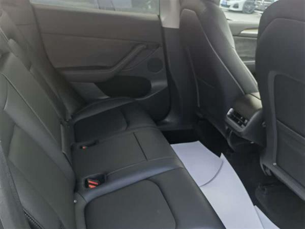Model Y 2021款 长续航全轮驱动版