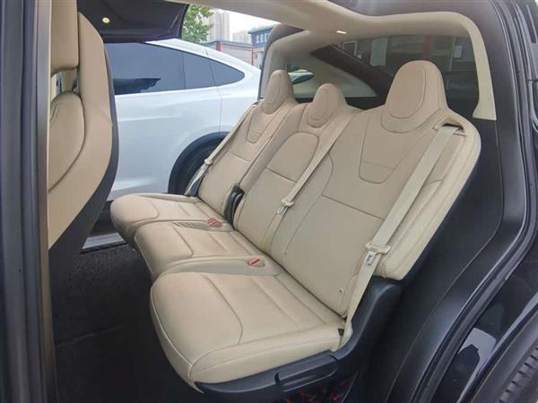 Model X 2017款 Model X 100D 长续航版