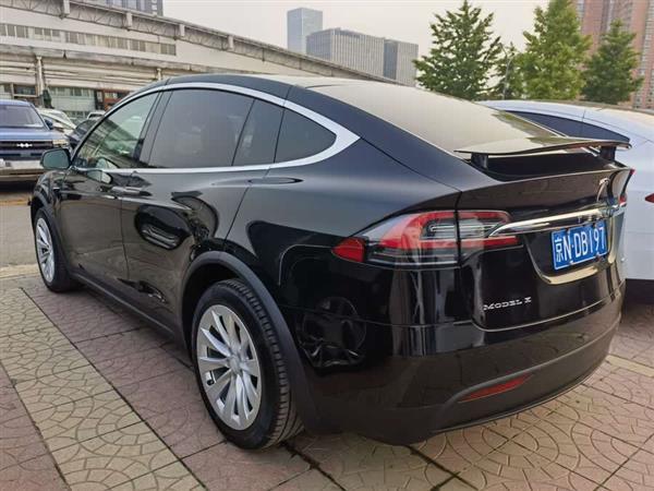 Model X 2017款 Model X 100D 长续航版