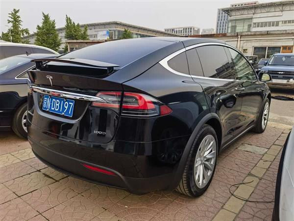Model X 2017款 Model X 100D 长续航版