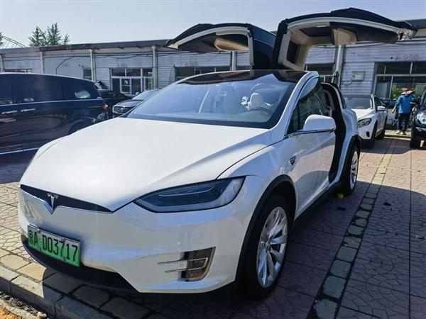 Model X 2017款 Model X 100D 长续航版