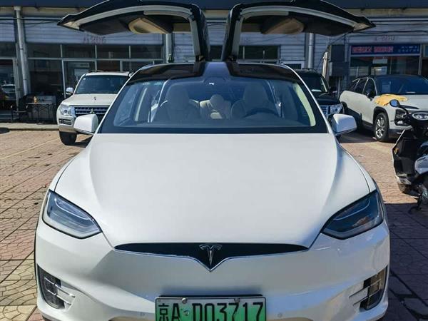 Model X 2017款 Model X 100D 长续航版