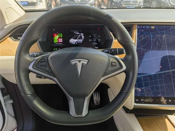 Model X 2017款 Model X 100D 长续航版