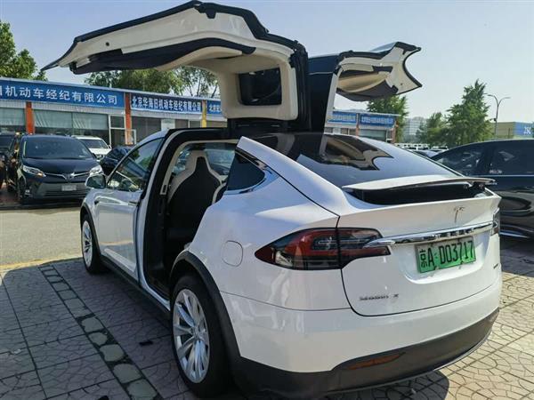 Model X 2017款 Model X 100D 长续航版