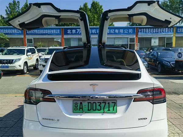 Model X 2017款 Model X 100D 长续航版