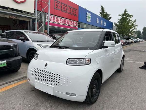 欧拉白猫 2020款 360km 标准型