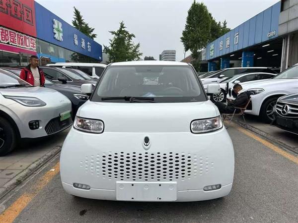 欧拉白猫 2020款 360km 标准型