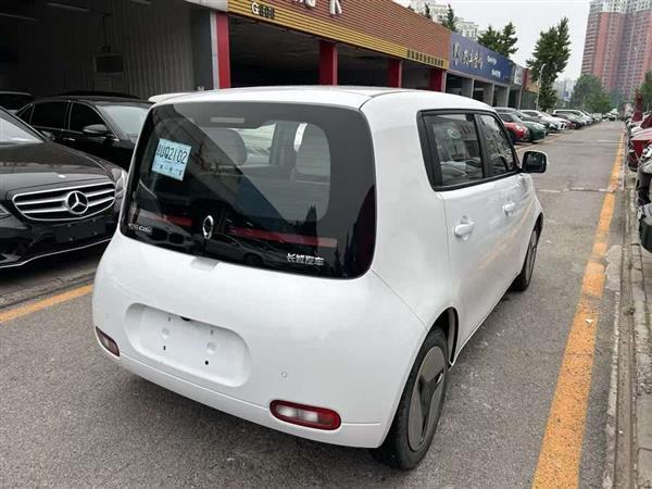 欧拉白猫 2020款 360km 标准型