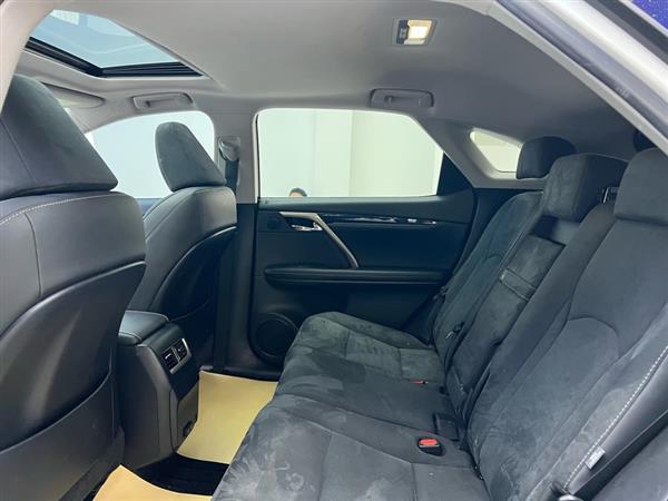 雷克萨斯RX 2020款 改款 300 两驱精英版