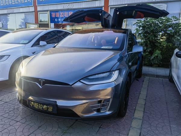 Model X 2017款 Model X 100D 长续航版