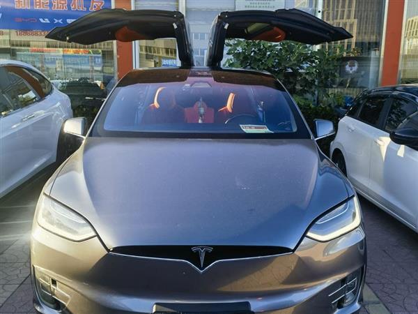 Model X 2017款 Model X 100D 长续航版