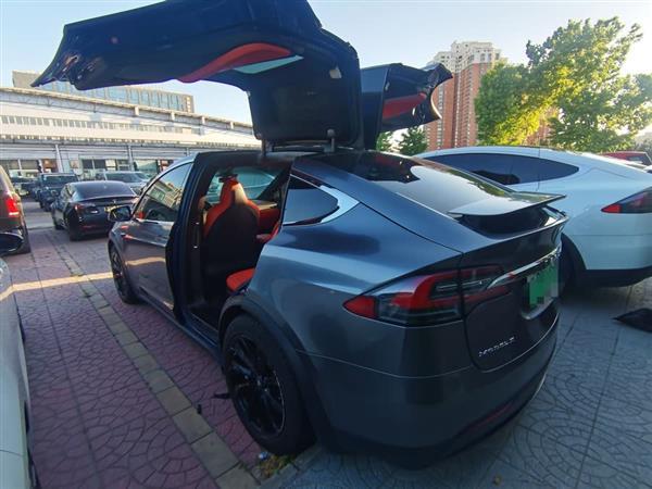 Model X 2017款 Model X 100D 长续航版