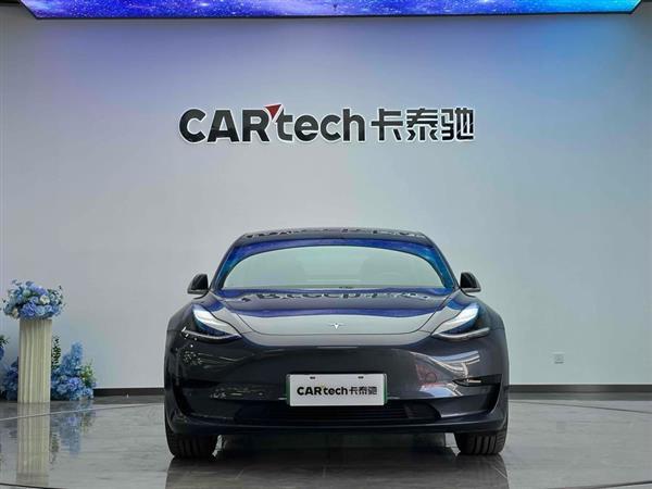 Model 3 2020款 改款 标准续航后驱升级版