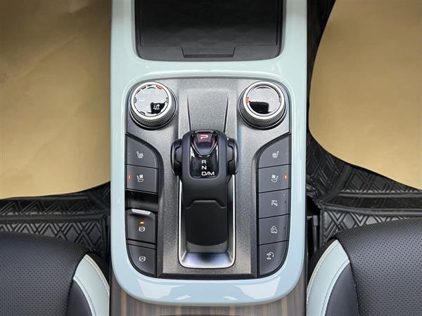 坦克300 2023款 城市版 2.0T 很有型