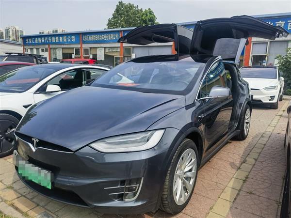 Model X 2020款 长续航升级版