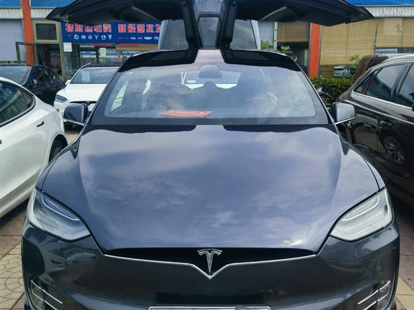 Model X 2020款 长续航升级版