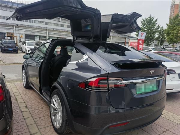 Model X 2020款 长续航升级版