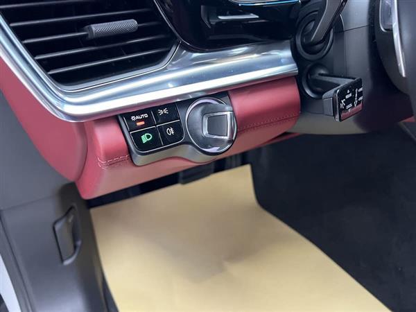 Panamera 2020款 Panamera 十周年纪念版 2.9T