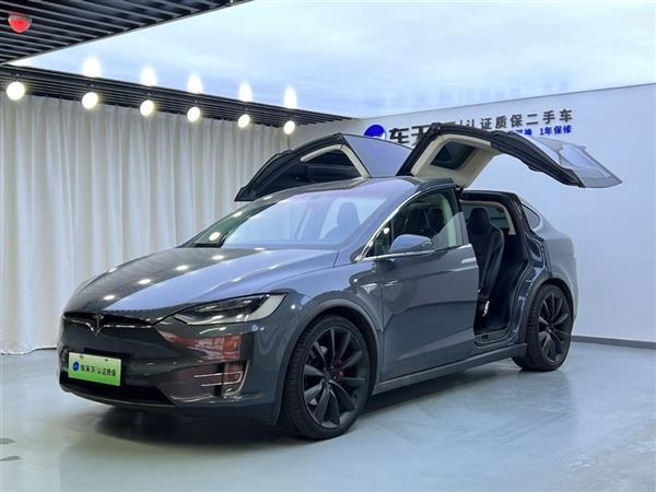 Model X 2016款 Model X P100D Performance高性能版