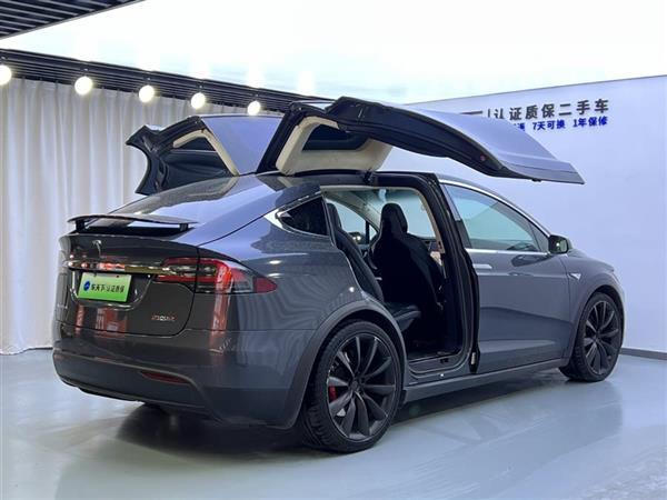 Model X 2016款 Model X P100D Performance高性能版