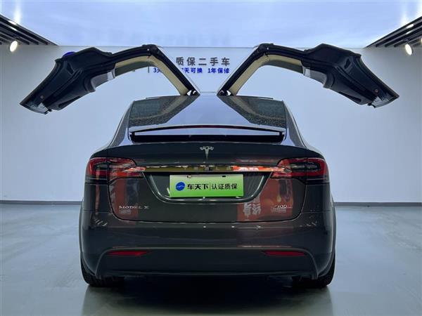 Model X 2016款 Model X P100D Performance高性能版
