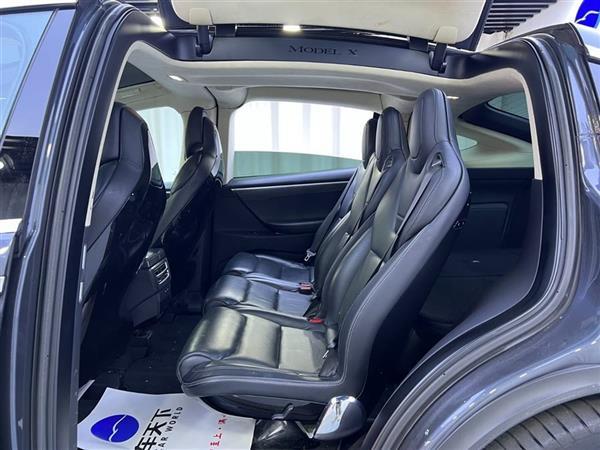 Model X 2016款 Model X P100D Performance高性能版