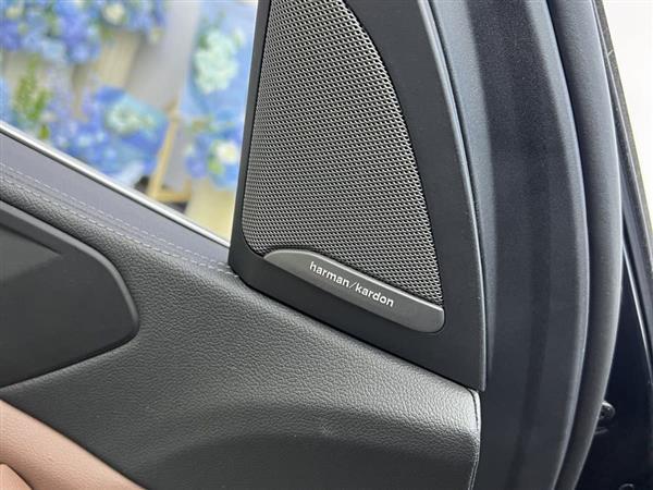 宝马X5(进口) 2021款 xDrive40i M运动套装