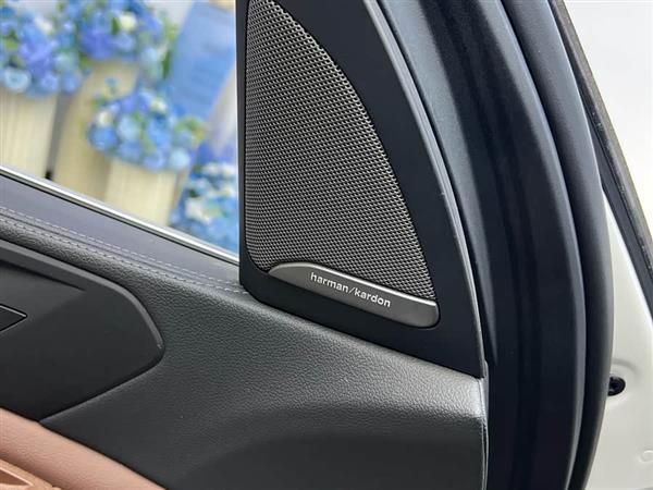 宝马X5(进口) 2020款 xDrive40i M运动套装