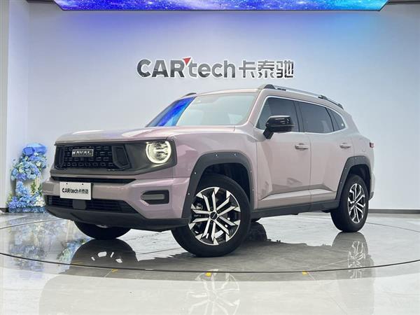 哈弗二代大狗 2023款 2.0T 两驱潮野版Plus