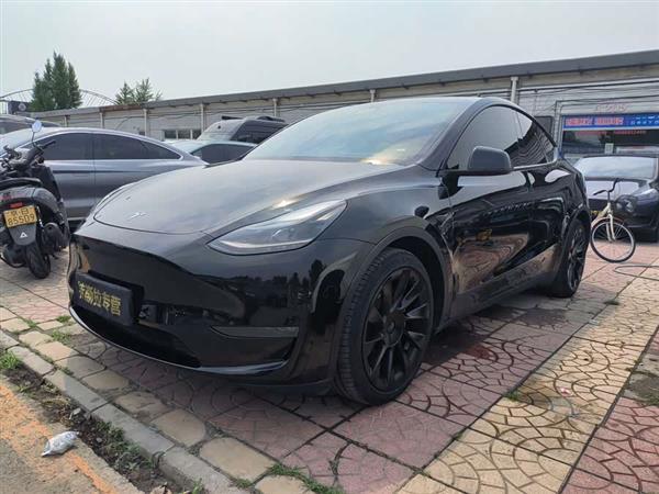 Model Y 2021款 长续航全轮驱动版